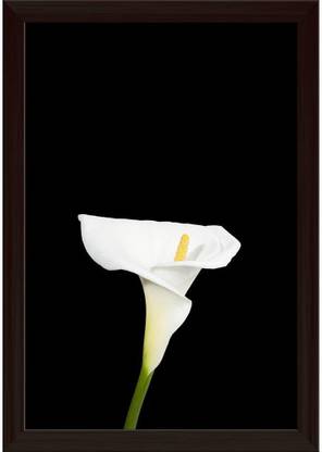 White Calla Lily Paper Poster Dark Brown Frame Paper Print