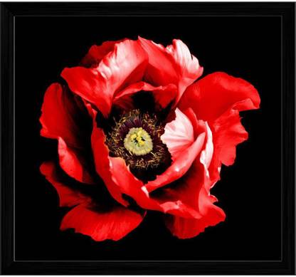 Artzfolio Surreal Dark Chrome Red Peony Flower Tabletop Painting Black Frame 10.8inch x 10inch (27.5cms x 25.4cms) Digital Reprint 10.5 inch x 11.3 inch Painting