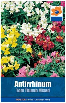DROXTY ® GBPT-676-Mix Seeds - Mixed Colour Snapdragon Seed