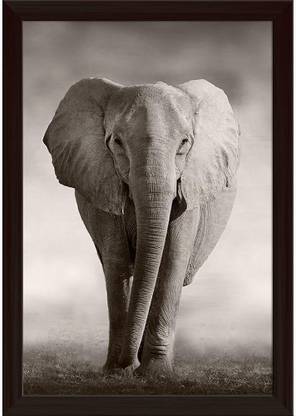 Wild African Elephant D1 Paper Poster Dark Brown Frame | Top Acrylic Glass 13inch x 19inch (33cms x 48.3cms) Paper Print