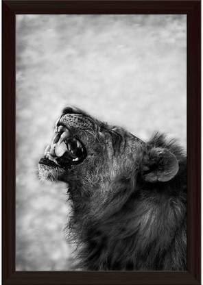 Image Of Lion Displaying Teeth Paper Poster Dark Brown Frame Paper Print