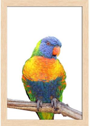 Rainbow Lorikeet Birds Paper Poster Natural Brown Frame Paper Print
