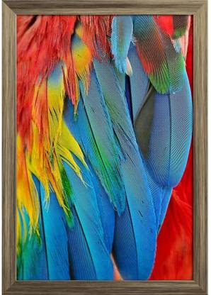 Scarlet Macaw Feathers Paper Print