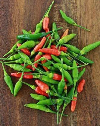 WILLVINE IX Desi Bird Eye Chilli Seeds[50gm, 10000 Seeds] Seed
