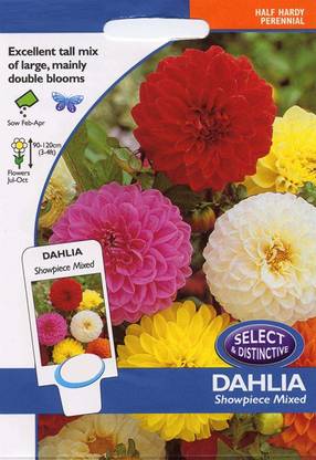 VibeX GBPT-370-Flower - Dahlia Showpiece Mixed Seed