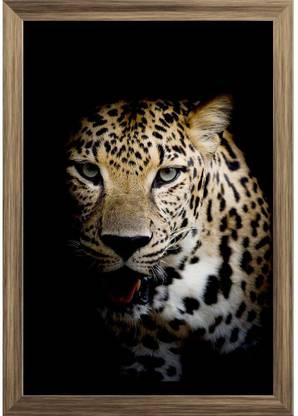 Close Up Leopard Portrait Paper Poster Antique Golden Frame | Top Acrylic Glass 9inch x 13inch (22.9cms x 33cms) Paper Print