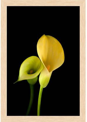 Yellow Calla Lily Flower Paper Poster Natural Brown Frame | Top Acrylic Glass 13inch x 19inch (33cms x 48.3cms) Paper Print