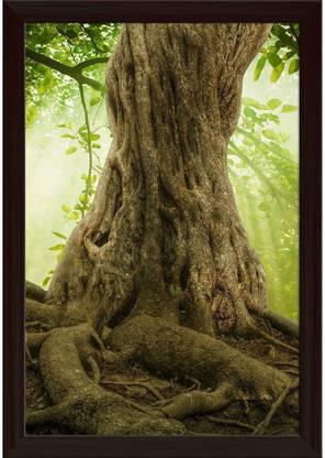 Big Tree Roots & Sunshine In A Green Forest Paper Poster Dark Brown Frame Paper Print