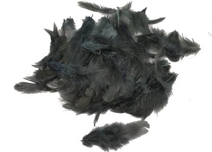 Uniqon Natural Dyed (Black Color) Multipurpose Craft Feathers (Approximately 80 Pcs) For Dream Catcher Artificial Jewellery Making Art & Craftworks Decorations Diy Hobby Crafts Kids Project Works Scrapbooking