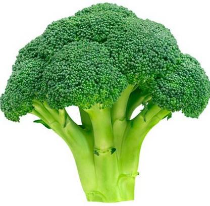 Paudha Broccoli Seed