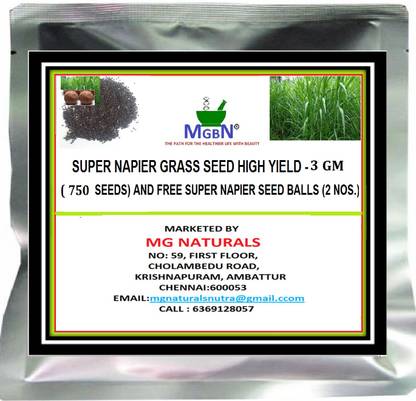 MGBN Super napier grass seed high yield -3 gm (750 seeds) and free super napier seed balls (2 nos.) Seed