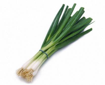 Paudha Leek Seed
