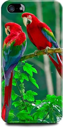 play fast Back Cover for Apple iPhone 5,Apple iPhone 5s,, PARROT PRINTED