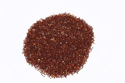 WILLVINE Tulasi seeds krishna tulsi seeds (Black) Holy Basil Seed