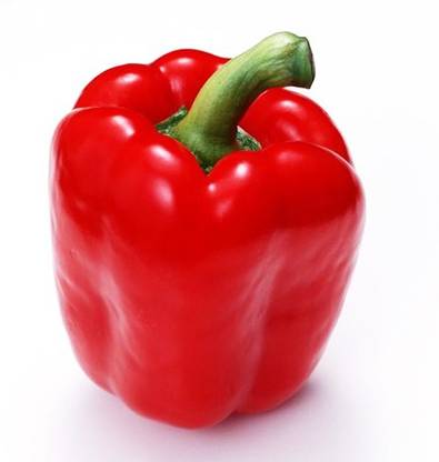 Paudha Capsicum Red Seed