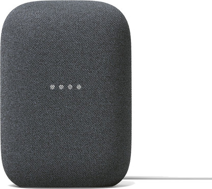 Google nest audio flipkart