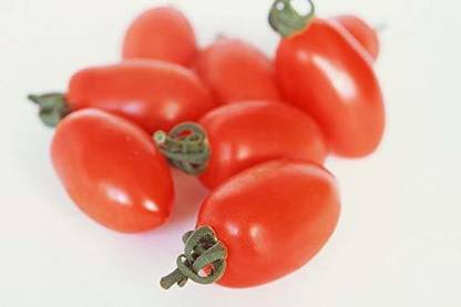 WILLVINE Sweetest Tomatoes Seeds - Cherry Tomato [10g, 3000 Seeds] Seed