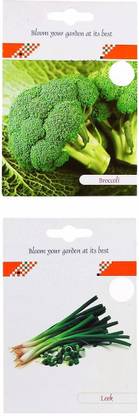 CYBEXIS 2-Varieties-Broccoli, Leek Seed