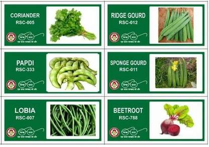 VibeX CBZ-45-6-Varieties-Vegetable Seeds Combo Pack Seed
