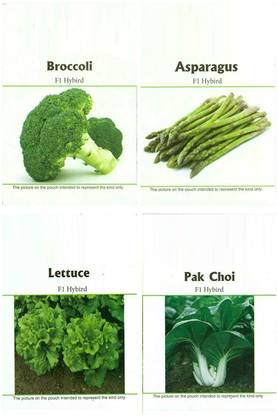 CYBEXIS Easy Gardening Asparagus, Broccoli, Lettuce, Pak Choi F1 Hybrid Seed Kit Seed