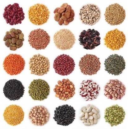 VibeX Organic Main 6 Vegetable's Seeds Kit Seed