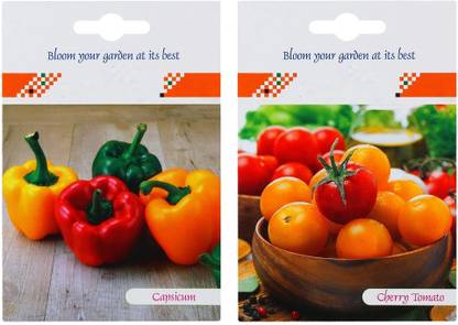 VibeX CBZ-99-2-Varieties-Capsicum, Cherry Tomato Seed