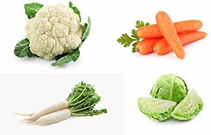 VibeX RDX-94-Combo of 4 vegetable seeds 200+ (Radish 75 Seeds, Carrot 75 Seeds, Cabbage 25 sseds, Cauliflower 25 seeds) Seed