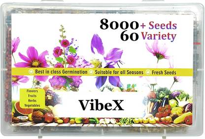 VibeX AFC-98-60-Varieties-F1 Hybrid Seeds Combo Set Seed