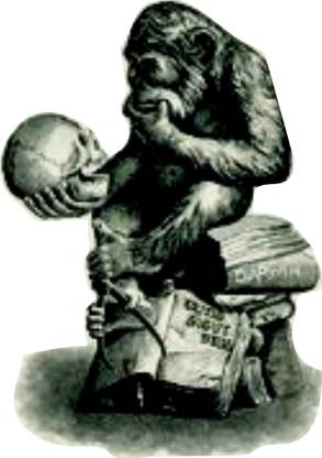 Sahaj Décor 36 cm Chimpanji Saw Man Skeleton Self Adhesive Sticker