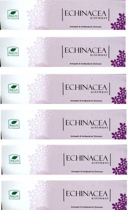 New Life Laboratories Echinacea - 6 Cream