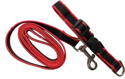 Quickato Dog Collar & Leash