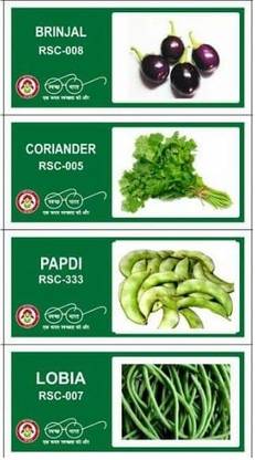 VibeX 4-Varieties-Top Selling Vegetable Seeds Combo Seed
