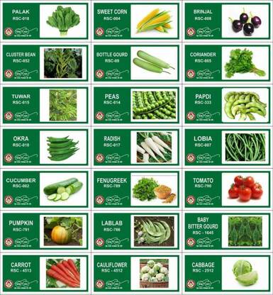 CYBEXIS 21-Varieties-Hybrid Vegetable Seeds Combo Seed