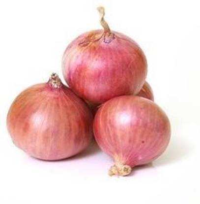 Onion