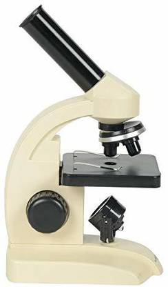 Dr. Mady's Compound microscope