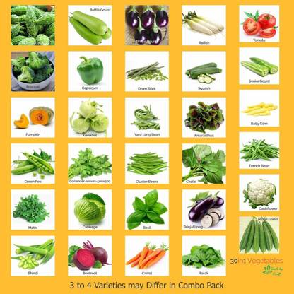 CYBEXIS Quick Grow Heirloom Vegetable Seeds Seed