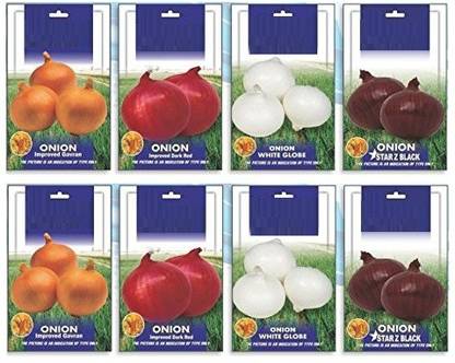 VibeX Onion Improved Variety 8 TYPES Seeds Combo Seed