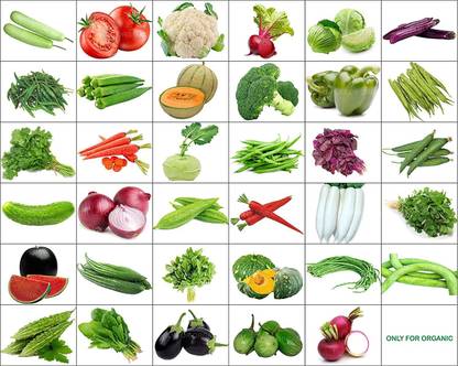 AshySols vegitable Seed