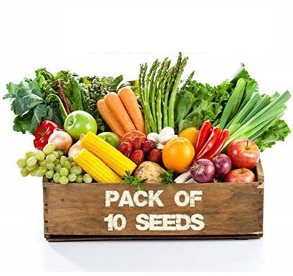 CYBEXIS Fast grow 10 Variety of Vegetable Seeds Seed