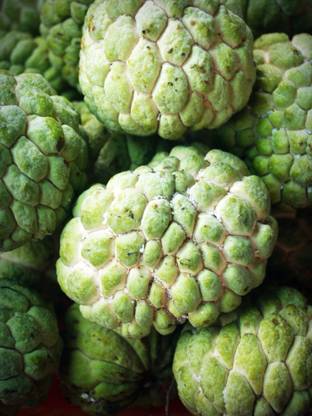 Countgreen Plus Custard Apple/Sharifa Fruit Seed
