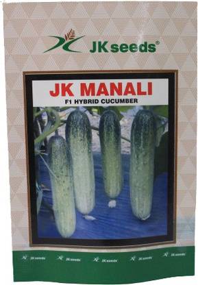 JK Agrigenetics Ltd Cucumber Seed