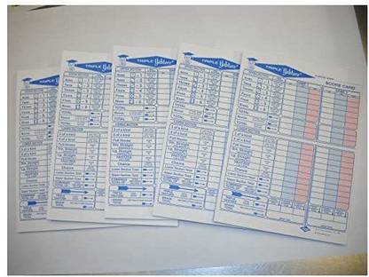 Not applicable 250 Triple Yahtzee Score Sheet Pad Card
