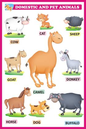 Animal Names Chart Learning For Kids | Domestic Animals Chart Chart Paper Print