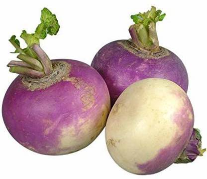 PBTA Shaljam, Purple Turnip, Shalgam, Shalgom, Shalgham, Sherasa Seed