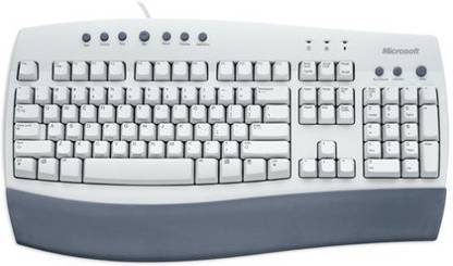 MICROSOFT Internet Keyboard, PS/2 Interface PS2 Standard Desktop Keyboard Compatible with Desktop, Laptop, Mac