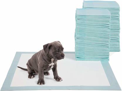 Hygiene Hub Puppy Potty Pads, Dog Potty Training Mats, 100 pcs Disposable Dog Diapers