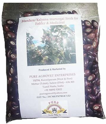 PURE AGROVET ENTERPRISES Lenten / Kalyana Murungai / Coral Tree / Erythrina indica (Erythrina variegata) Multi-purpose tree crop seeds (Pack of Average 50 Gram) Seed
