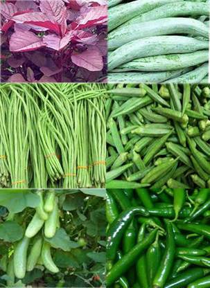 Kerala Agricultural University Vegetable Seeds Seed