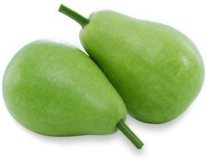 Antier BOTTLE GOURD LATTU Seed