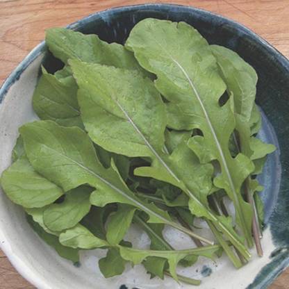 Paudha Rocket Leaf Arugula Seed